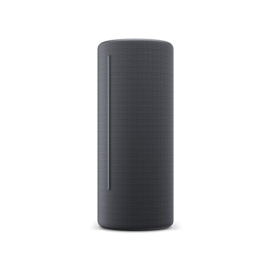 Bluetooth Speakers Loewe Grey-0