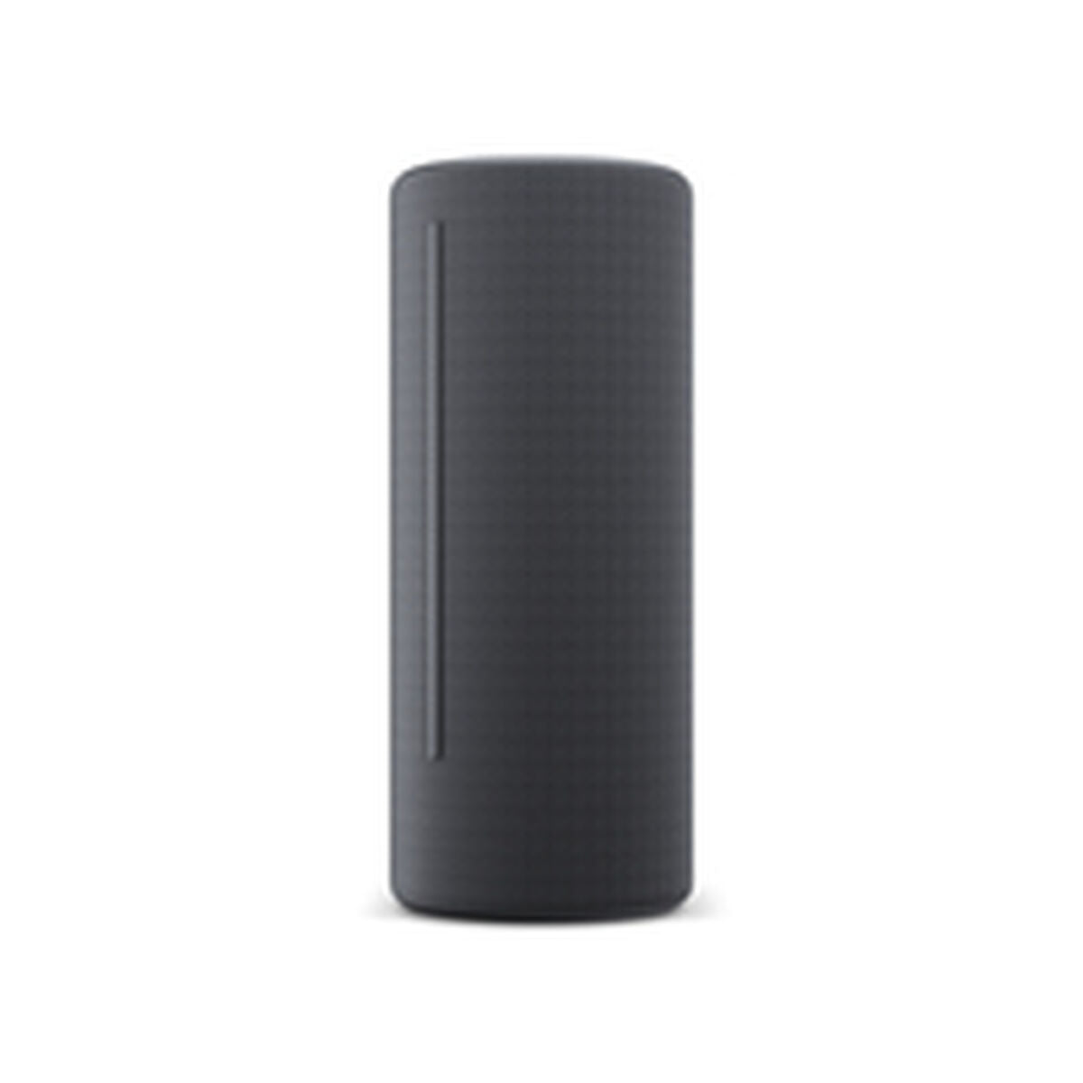 Bluetooth Speakers Loewe Grey-20