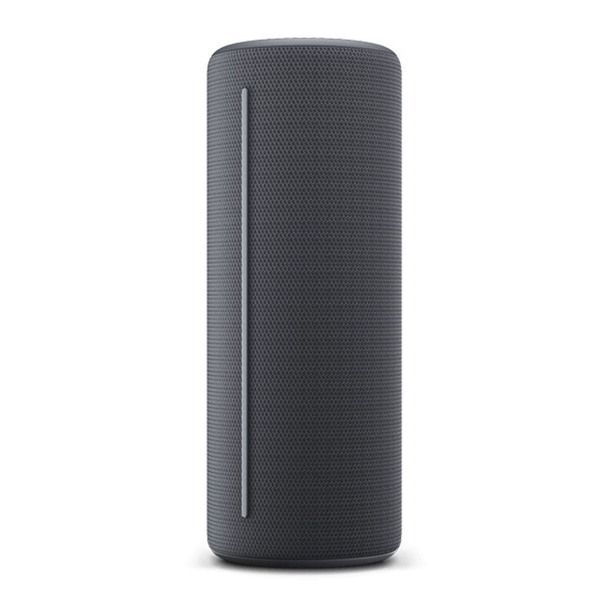 Bluetooth Speakers Loewe Grey-7
