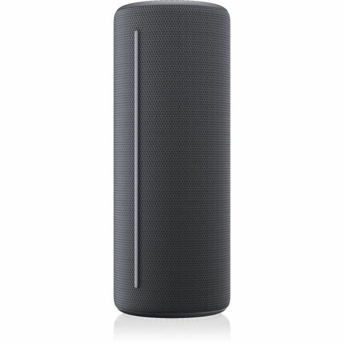 Bluetooth Speakers Loewe Grey-3