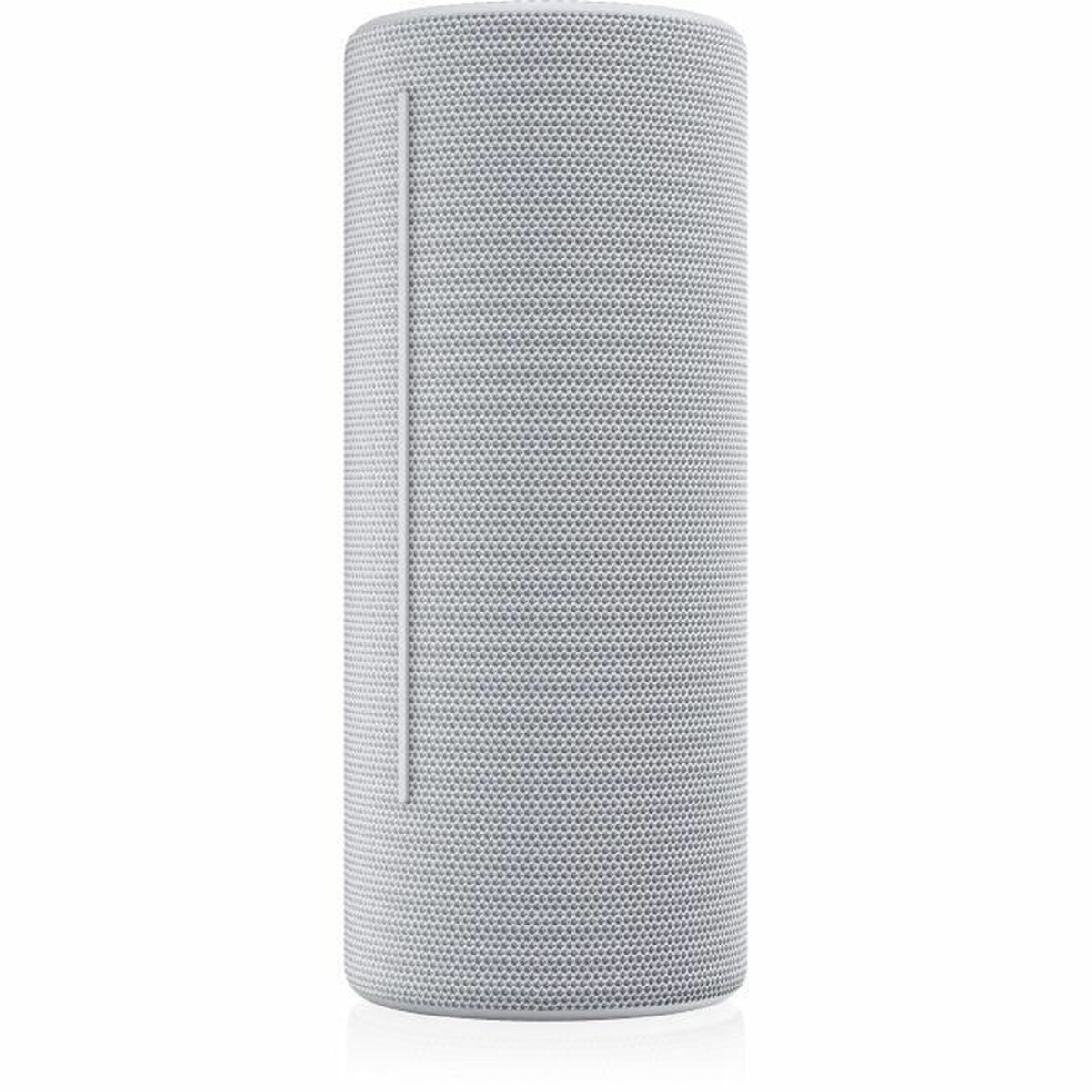 Portable Speaker Loewe Grey 15 W 60 W-4